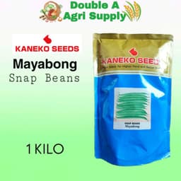 Mayabong Snap Beans - Kaneko Seeds